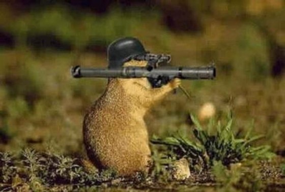 Pavadinimas neįvestas