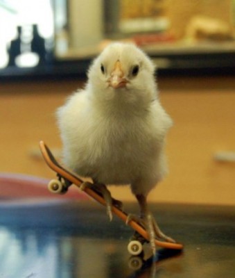 skater :)