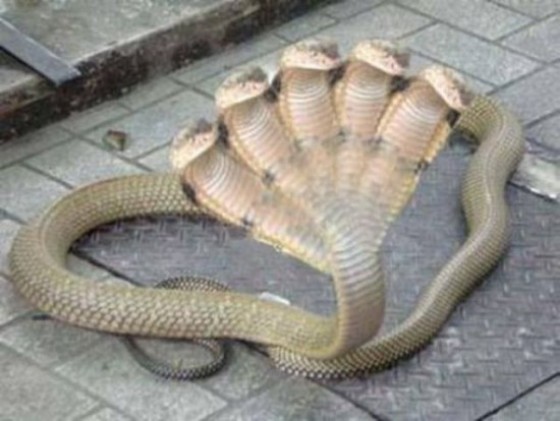 5 kart pavojingiau :)