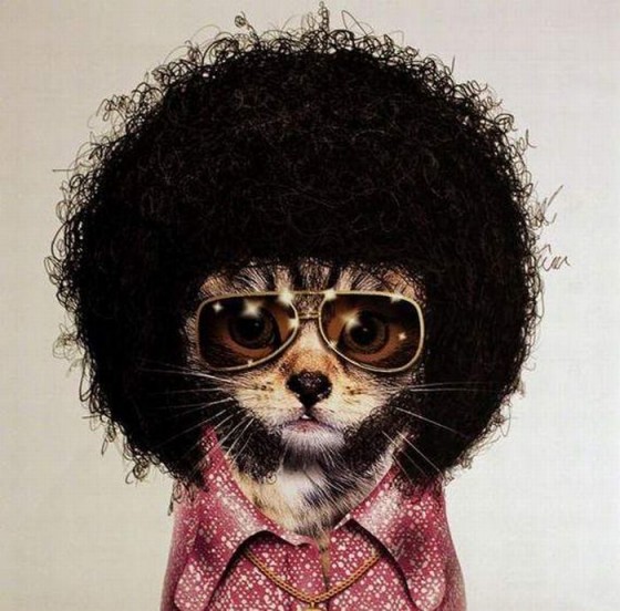 Elvis ;D
